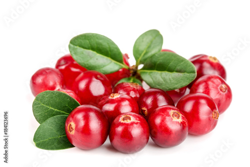 Cranberry with leaf isolated on white background closeup macro