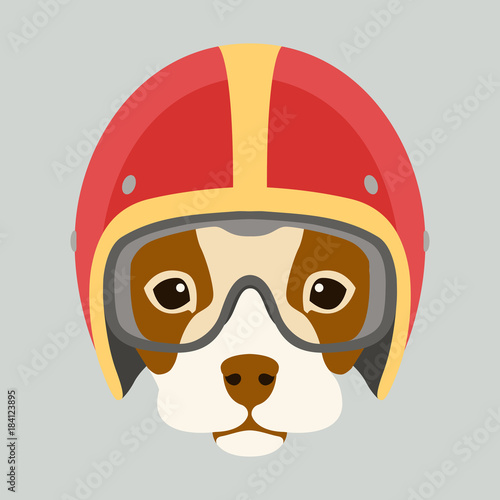 dog face in motorcycle helmet vector illustration flat