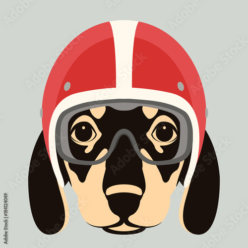 dog face in motorcycle helmet vector illustration flat