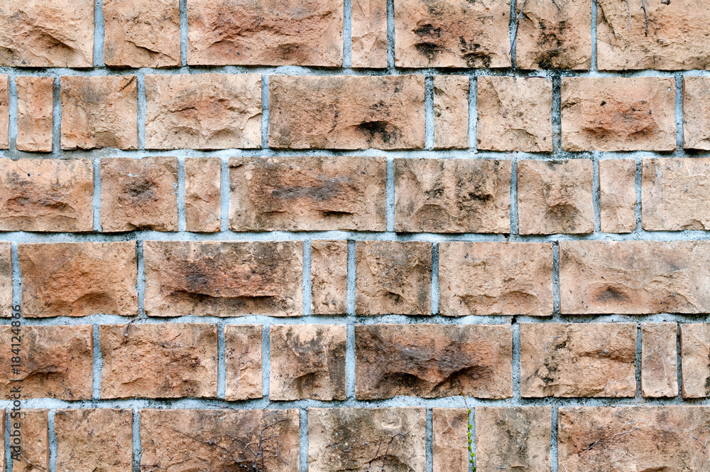 Fototapeta premium レンガの壁