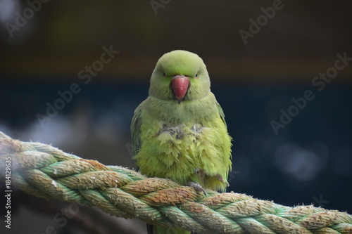 Esta foto fue tomada por una cámara Nikon d7100 en Nelson, Nueva Zelanda photo