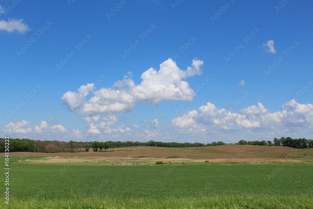 Plowed farm field and bright blue sky with white clouds Plowed farm field and bright blue sky with white clouds