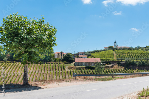 Vallée du Douro vignes vignoble Porto Portugal