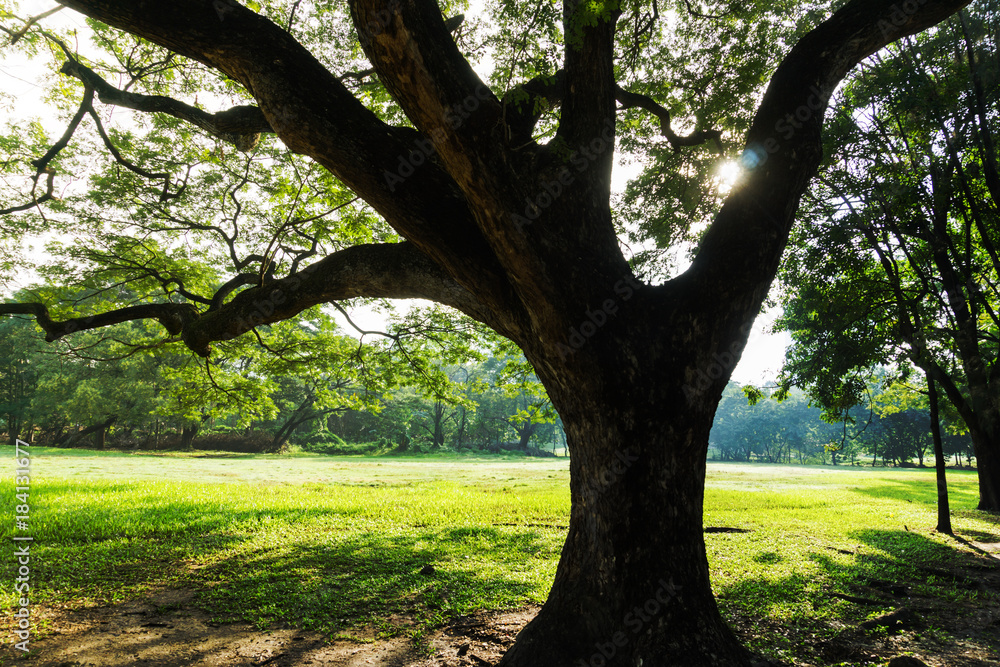 Beautiful green public park in city, Thailand.