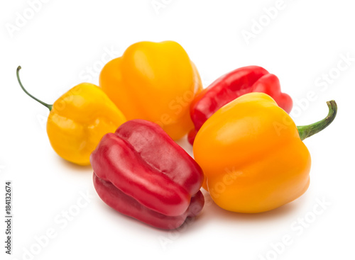 mexican chili pepper habanero, baby mix, isolated on white background