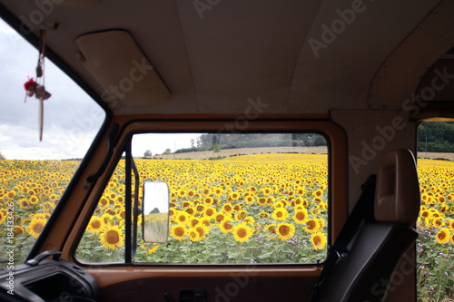 Bus Fenster und Sonnenblumen