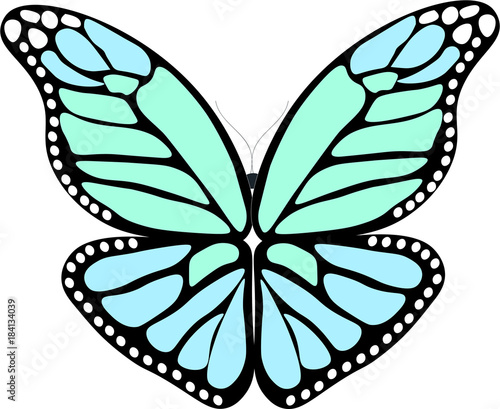 Farfalla tattoo
