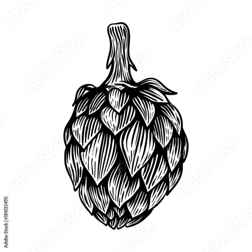 Hop illustration in engraving style isolated on white background. Design element for emblem, sign, label, menu. Vector illustration