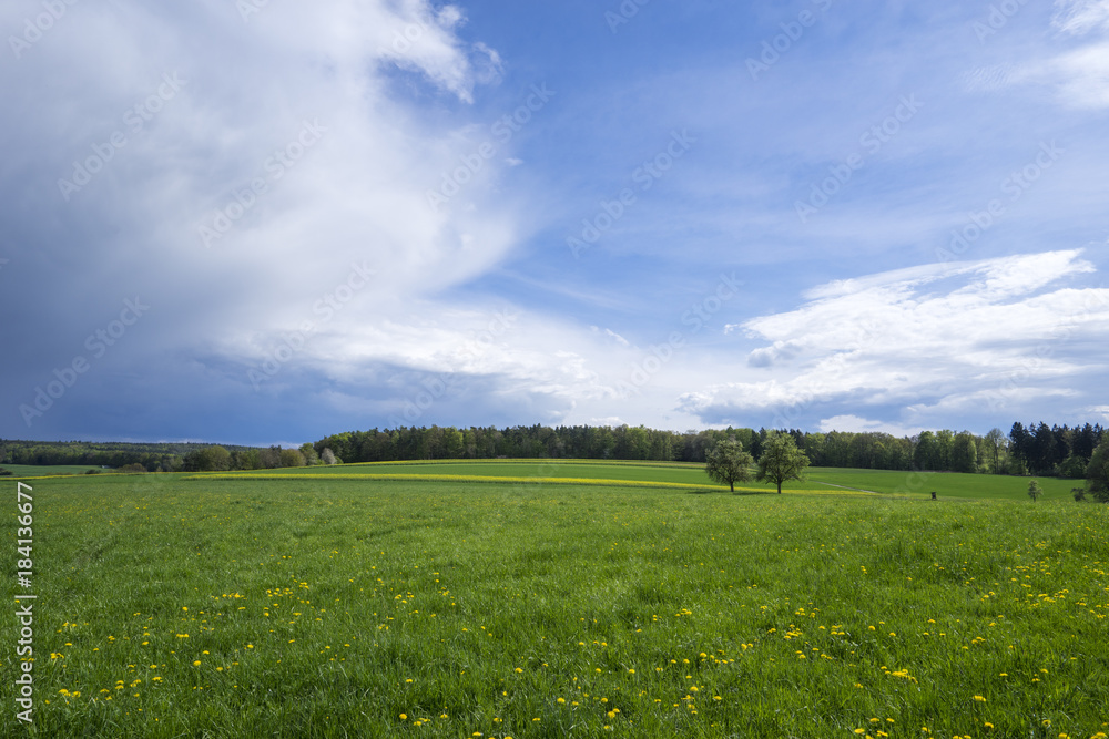 Frühling im Odenwald Frühling im Odenwald