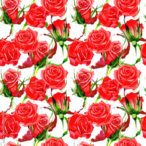 Wildflower rose flower pattern in a watercolor style. Full name of the plant  red rose  hulthemia. Aquarelle wild flower for background  texture  wrapper pattern  frame or border.