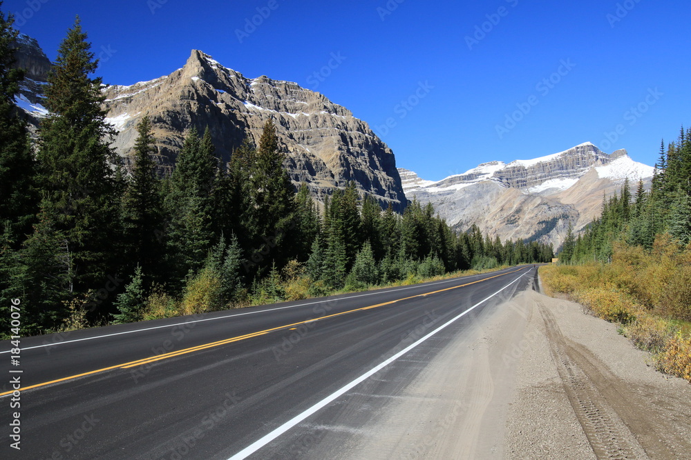Fototapeta premium Icefield Parway, Canada on bright sunny day