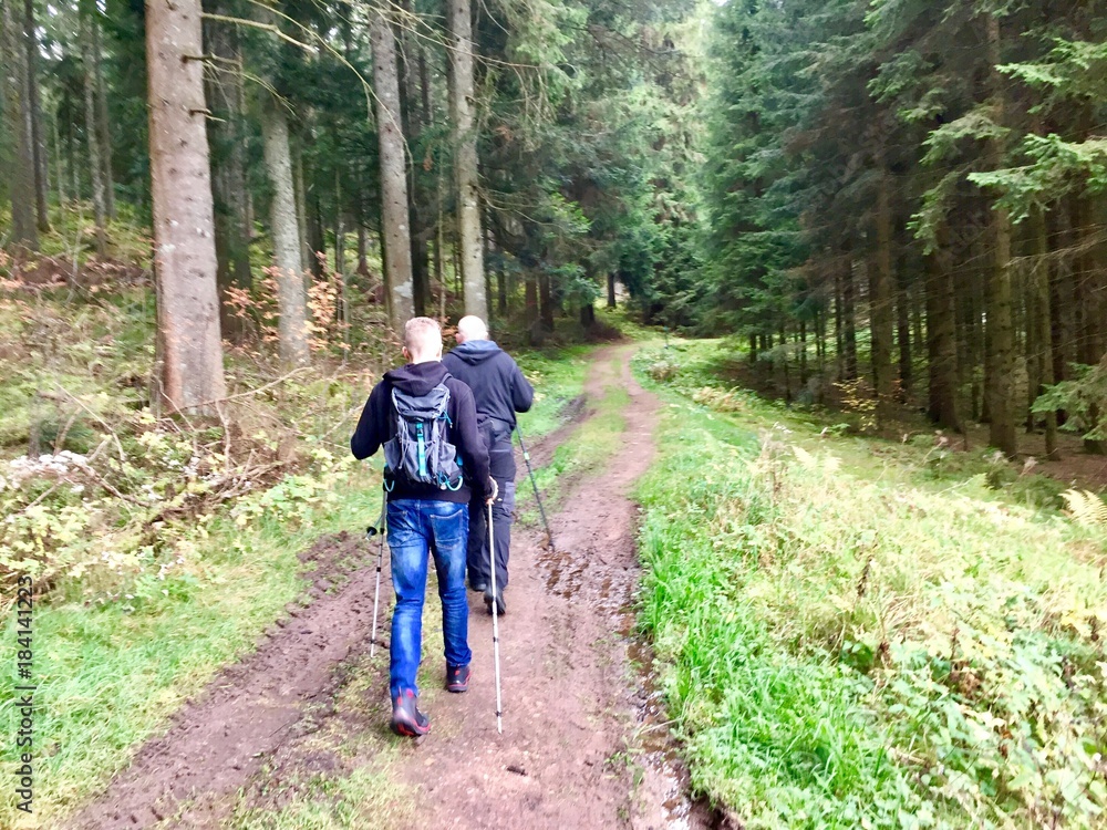 Fototapeta premium Hikers in the forrest