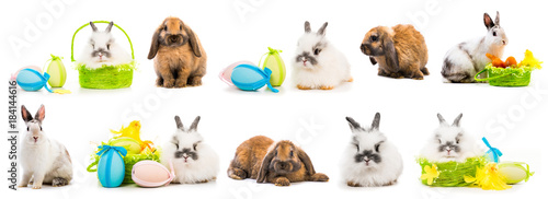 Fototapeta Naklejka Na Ścianę i Meble -  Easter pictures - rabbit with colored eggs