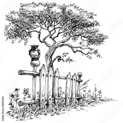 Owl sitting on a wooden fence rural landscape