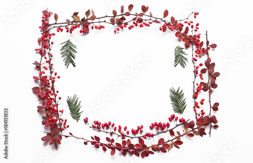 Winter holiday decoration elements - frame of branches on white background