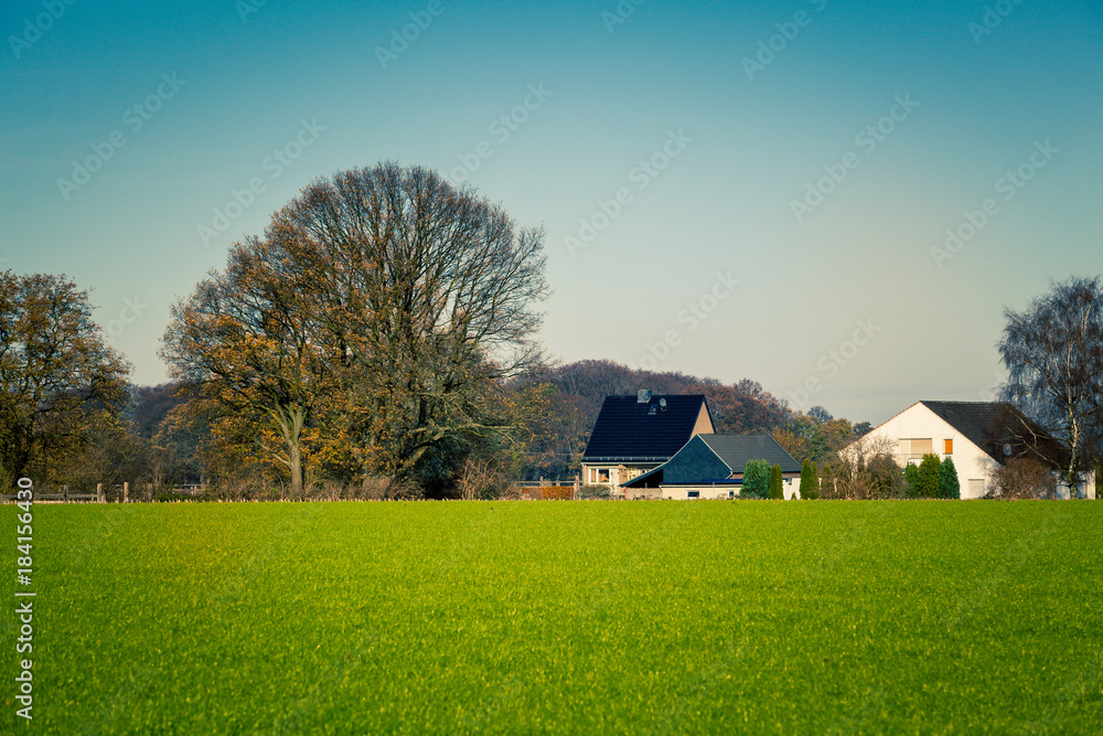 agriculture field. Agricultural landscape with green fields agriculture field. Agricultural landscape with green fields
