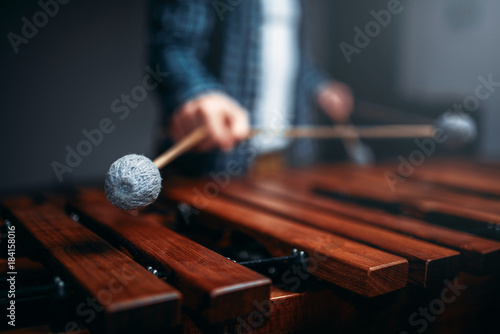 Xylophone player hands with sticks, wooden sounds photo