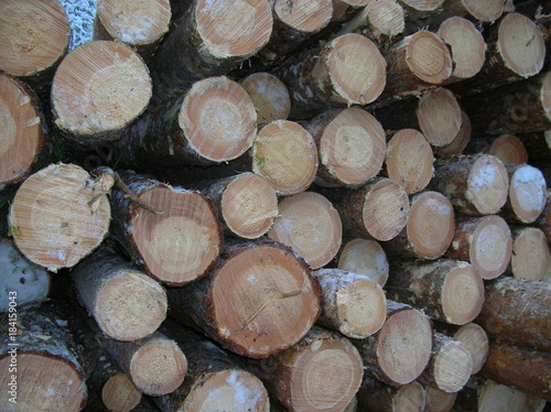 timber harvesting