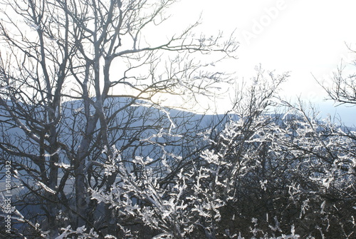 Mountain winter tale in Gelendzhik photo