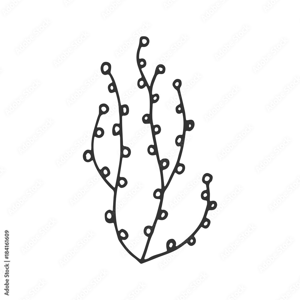 algae hand drawing vector. sketch algae hand drawing vector. sketch