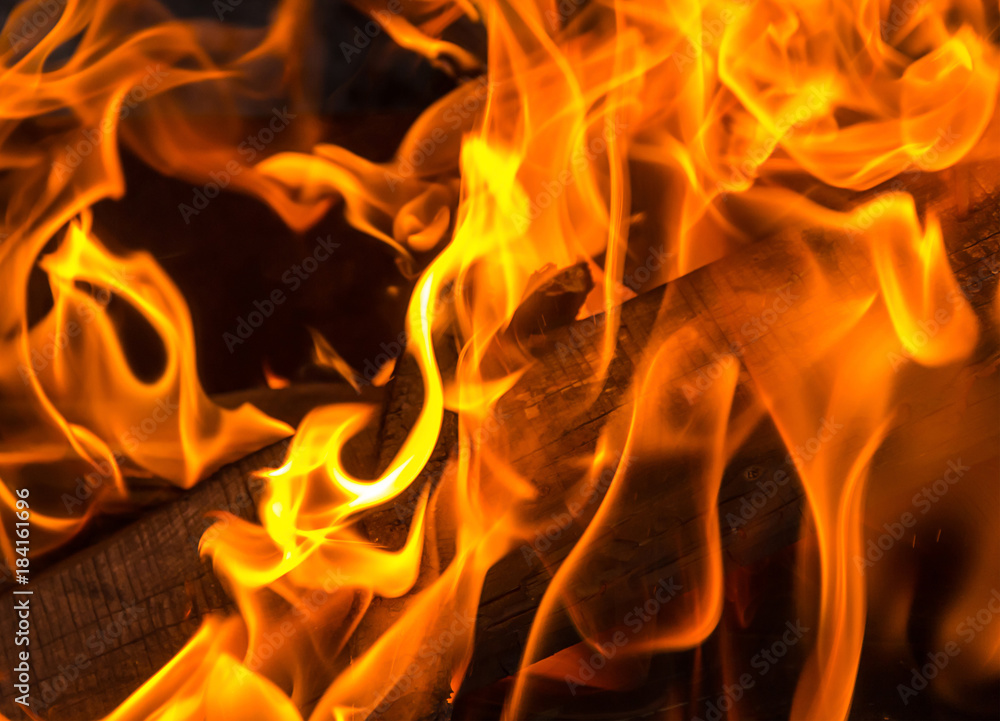 orange flame bright background. burning fuel for the fire board close-up orange flame bright background. burning fuel for the fire board close-up