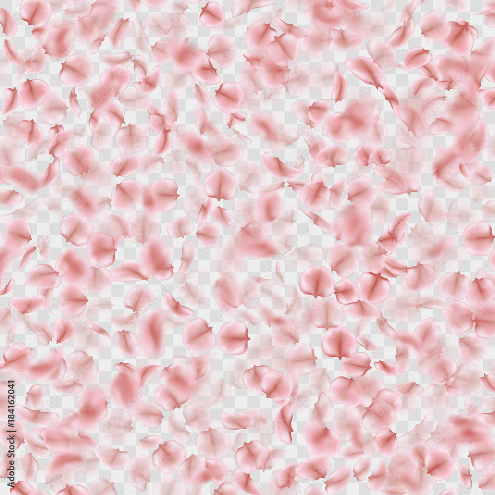 Petals falling confetti effect isolated on transparent. EPS 10 vector