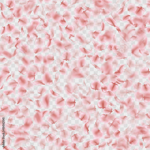 Fototapeta Naklejka Na Ścianę i Meble -  Petals falling confetti effect isolated on transparent. EPS 10 vector