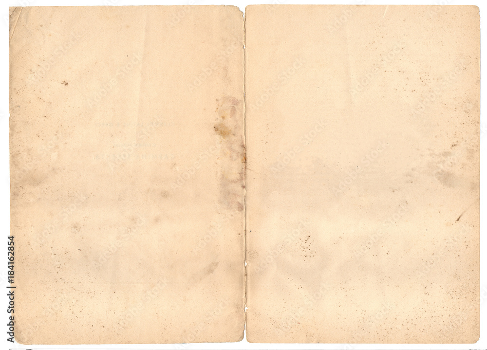 Fototapeta premium A shabby vintage paper sheet. Nice aged worn texture. 