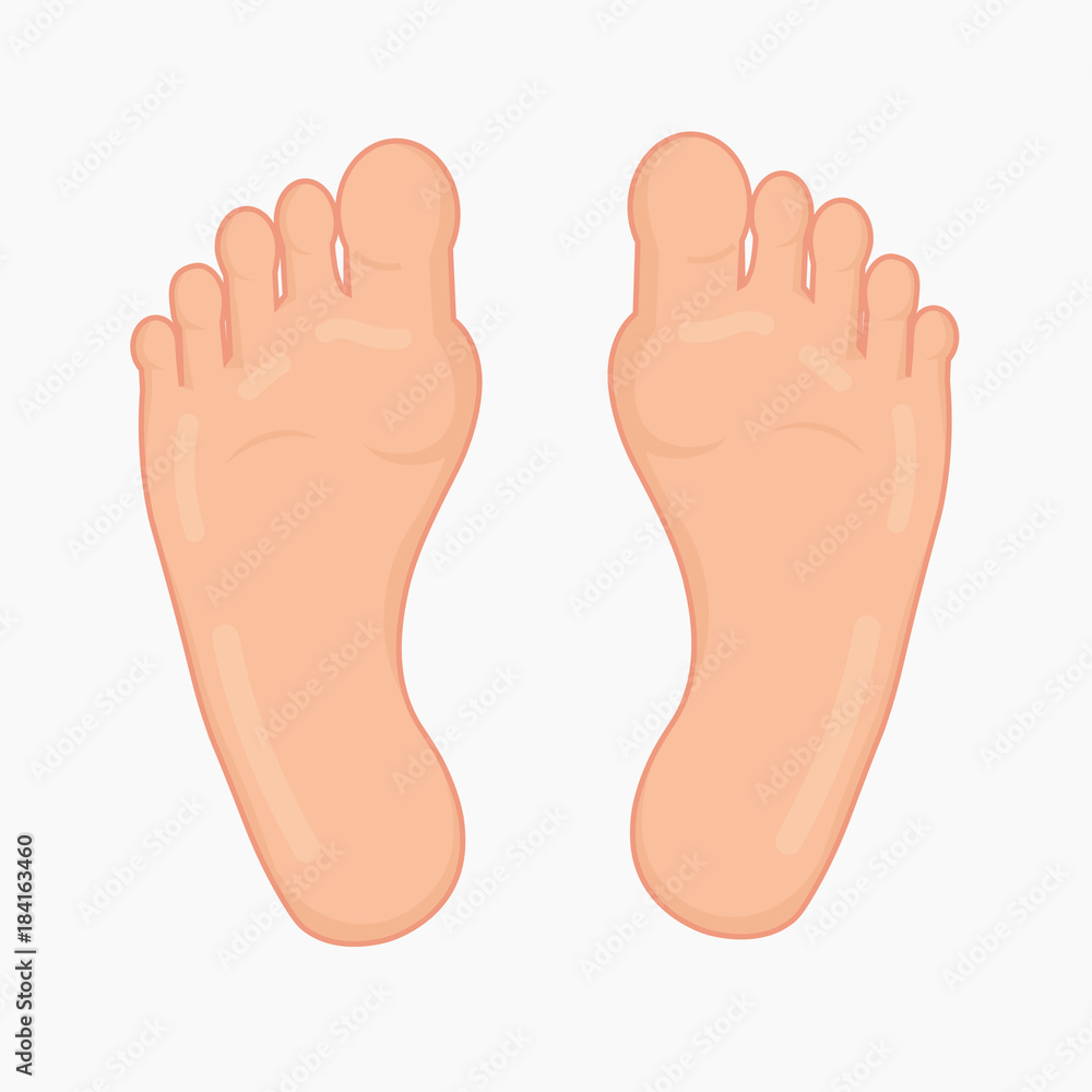 Foot soles. Vector illustration. Foot soles. Vector illustration.