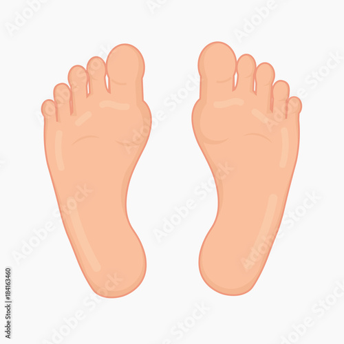 Foot soles. Vector illustration.
