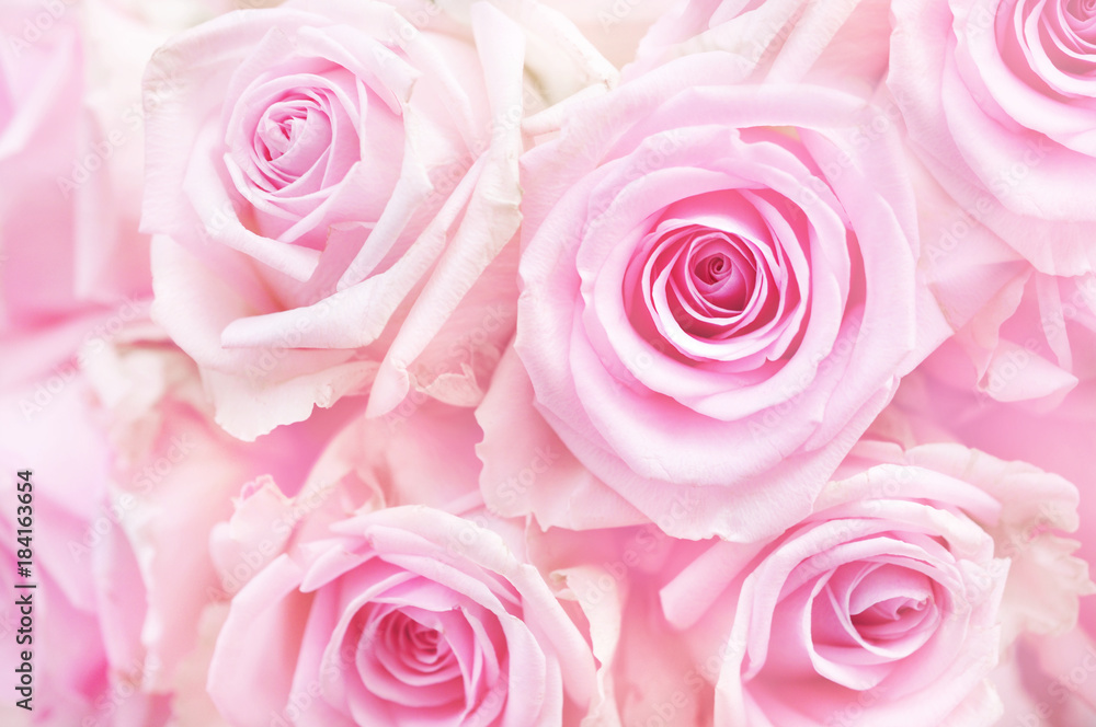 Summer blossoming delicate rose on blooming flowers festive background, pastel and soft bouquet floral card Summer blossoming delicate rose on blooming flowers festive background, pastel and soft bouquet floral card