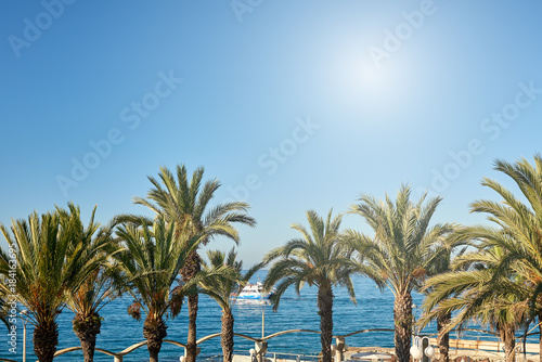 View of palm trees against sea and blue sky.