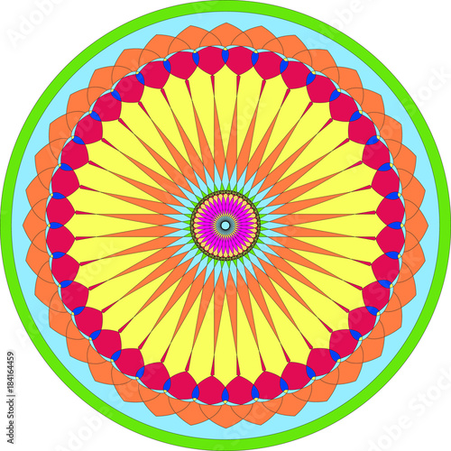 Multicolored flower pattern