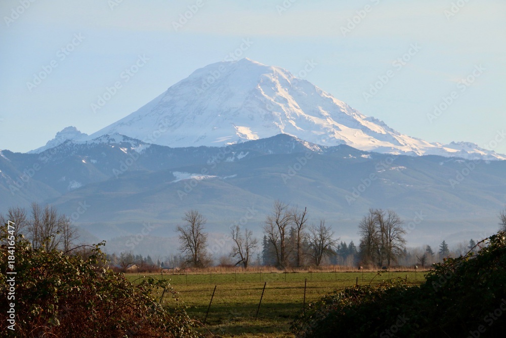 Fototapeta premium Mt. Rainier