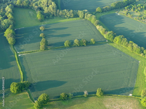 Airiel view of fields with trees and long shadows