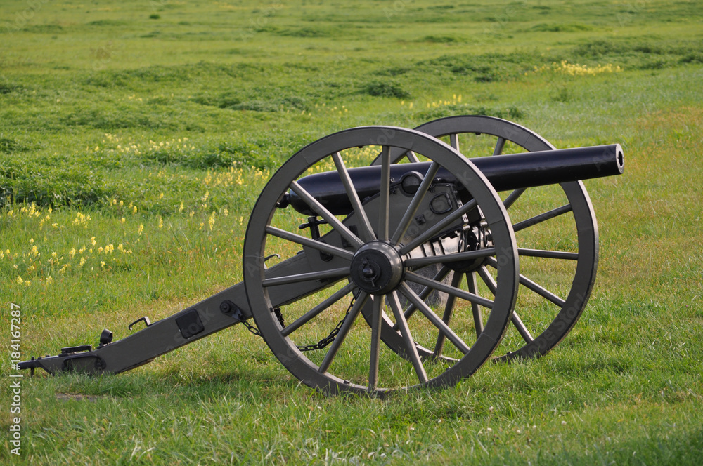 Single cannon in field