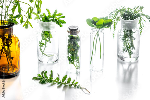 Homeopathy. Medicinal herbs in glass on white background