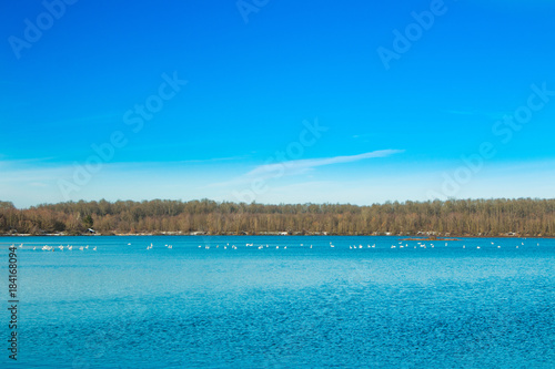 Beautiful landscape in coutryside, lake in Garešnica, Croatia 