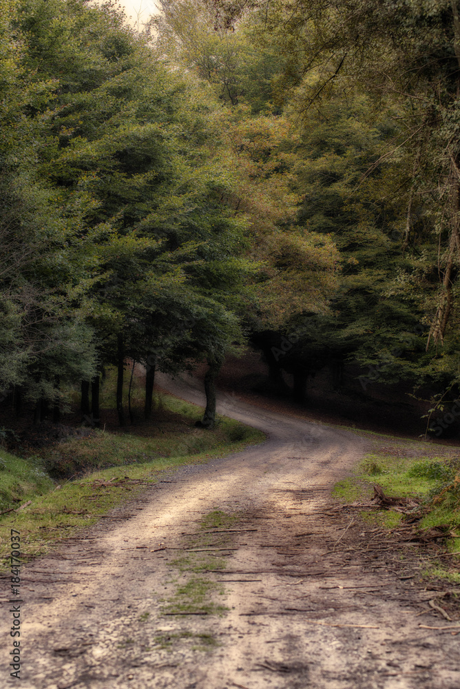 Obraz premium Otzarreta