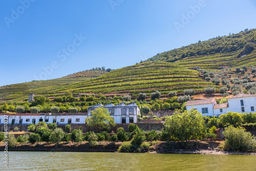 Vallée du Douro vignes vignoble Porto Portugal © Thierry Lubar