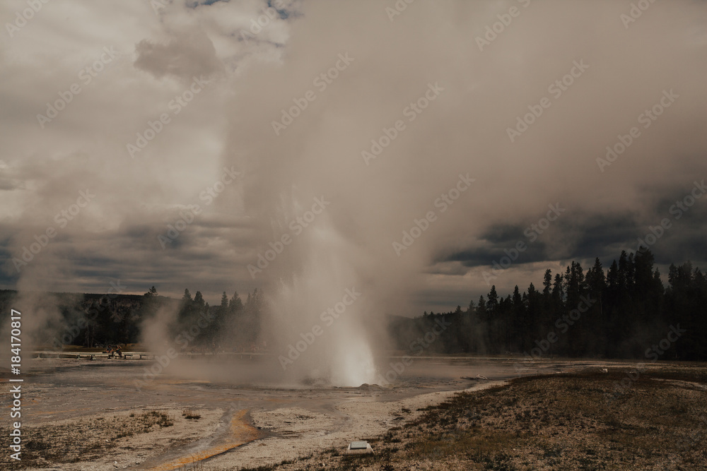 Fototapeta premium Yellowstone National Park