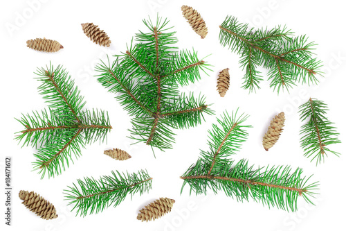 Fir tree branch with cones isolated on white background. Christmas background. Top view
