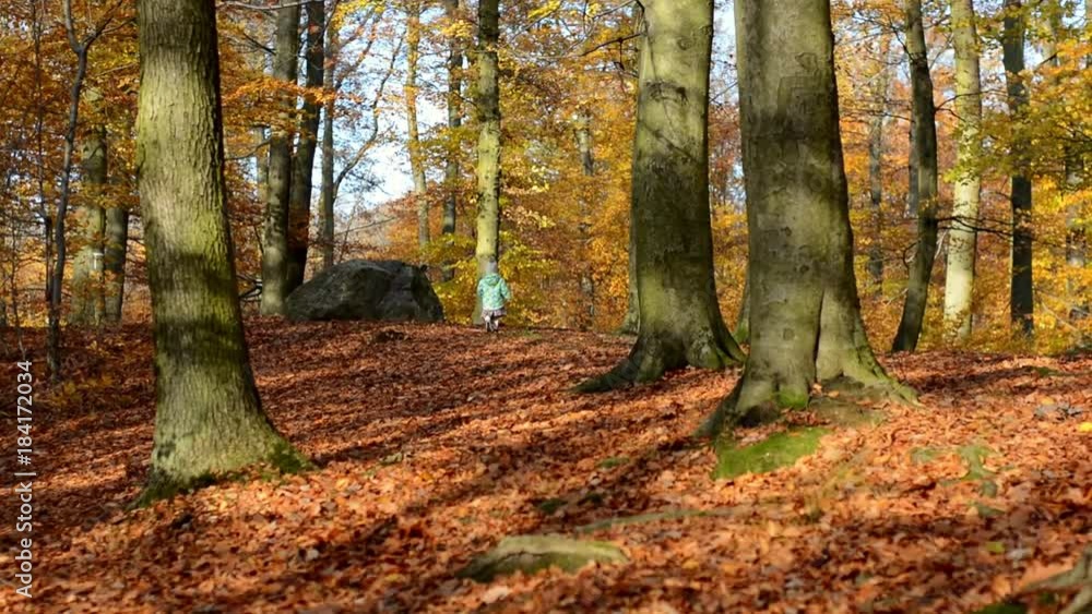 Little girl walking alone through a colorful autumn forest Little girl walking alone through a colorful autumn forest