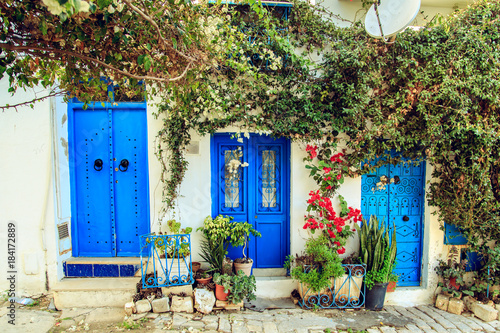 Traditional blue doors  in Sidi Bou Said.