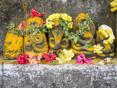The stone sculptures of the nagas  deities to whom the celebration of installation is dedicated. The traditional decoration of murti of snake with flowers and yellow dust