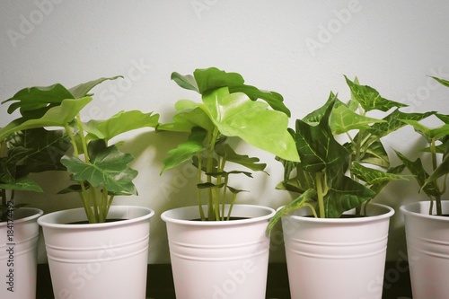 Artificial Alocasia and Golden Pothos Plant in Metal Pot