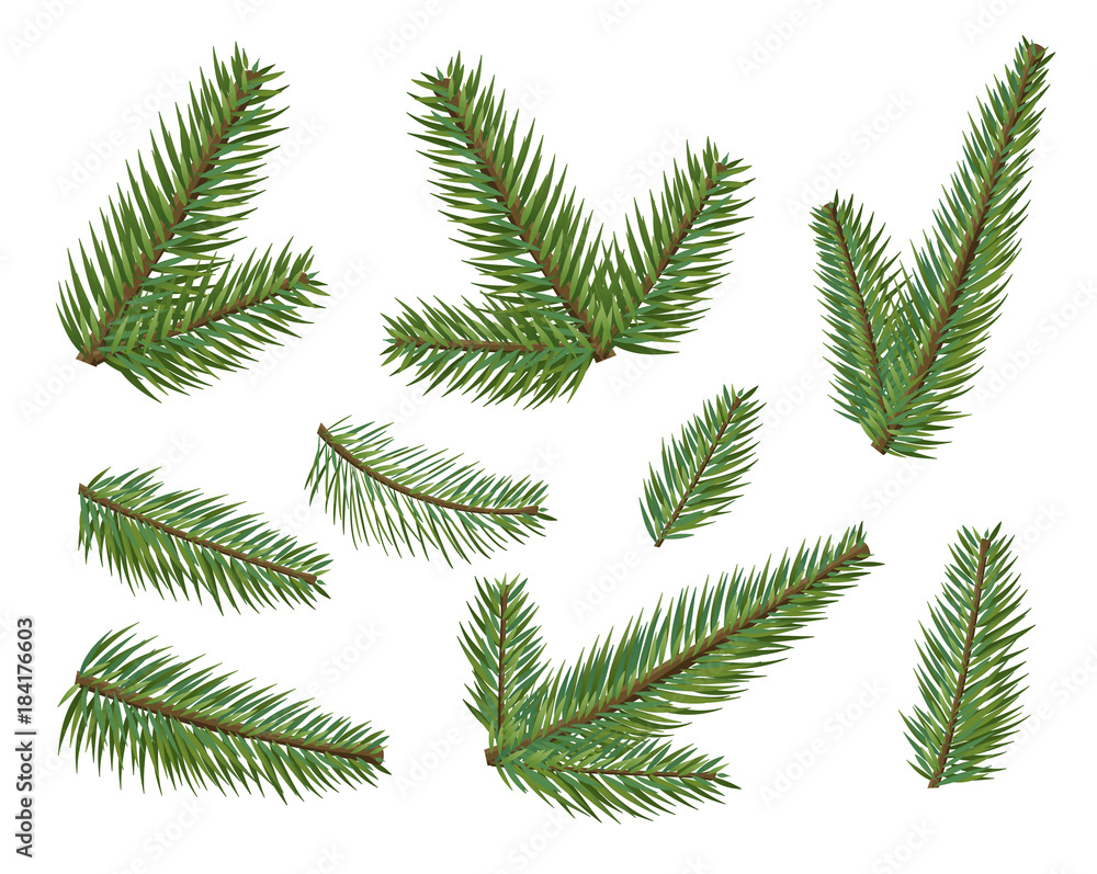 Different christmas tree branches set. Christmas elements tree