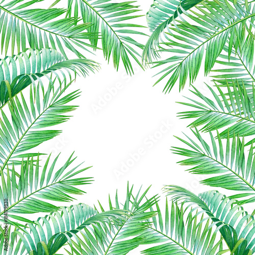Watercolor frame with leaves of coconut palm tree isolated on white background. Illustration for design of wedding invitations, greeting cards with empty space for text. © Lyubov Tolstova
