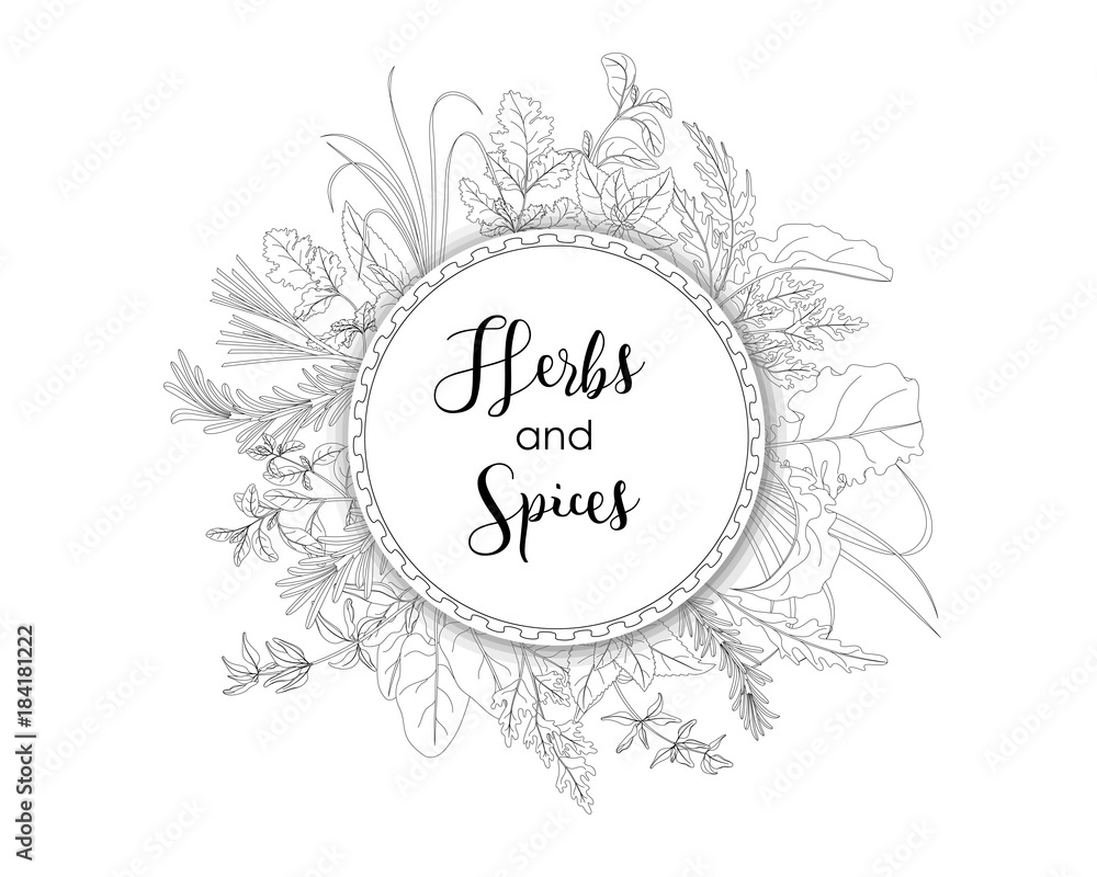 herbs and spices vector illustration herbs and spices vector illustration