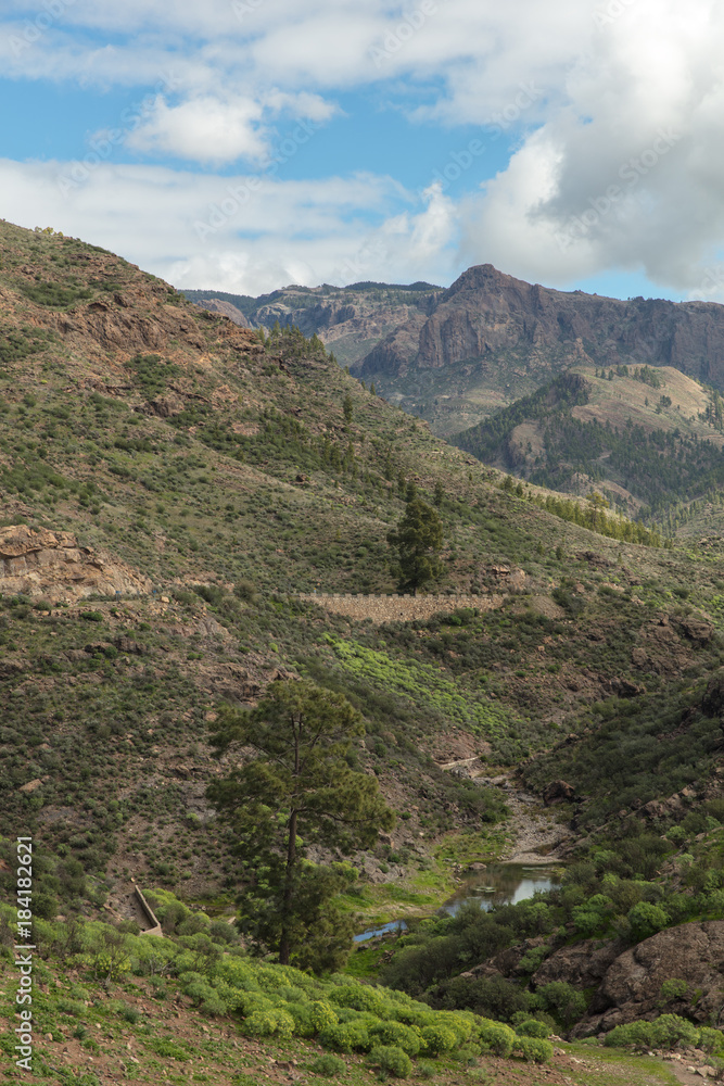 Naklejka premium Bach im Gebirge von Gran Canaria